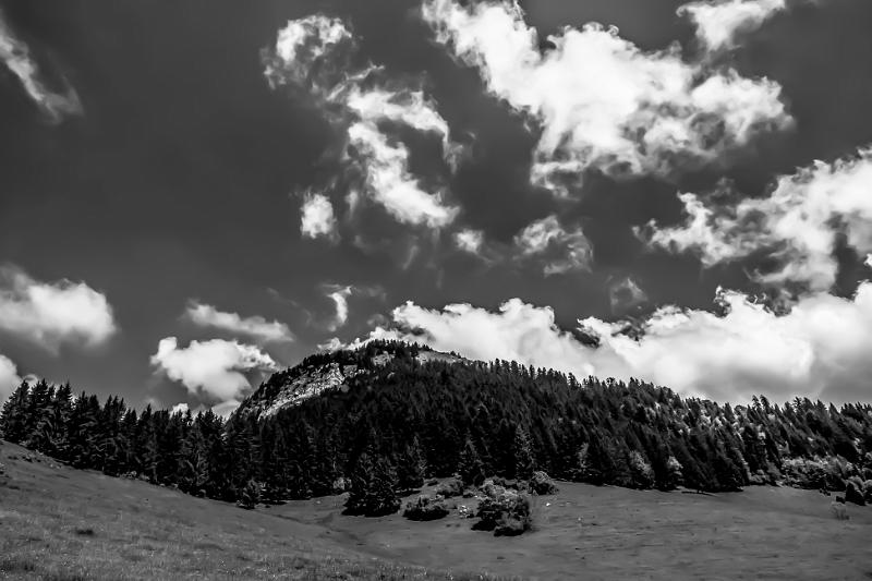 2016_06_06 (0059).jpg - Col de Forclaz